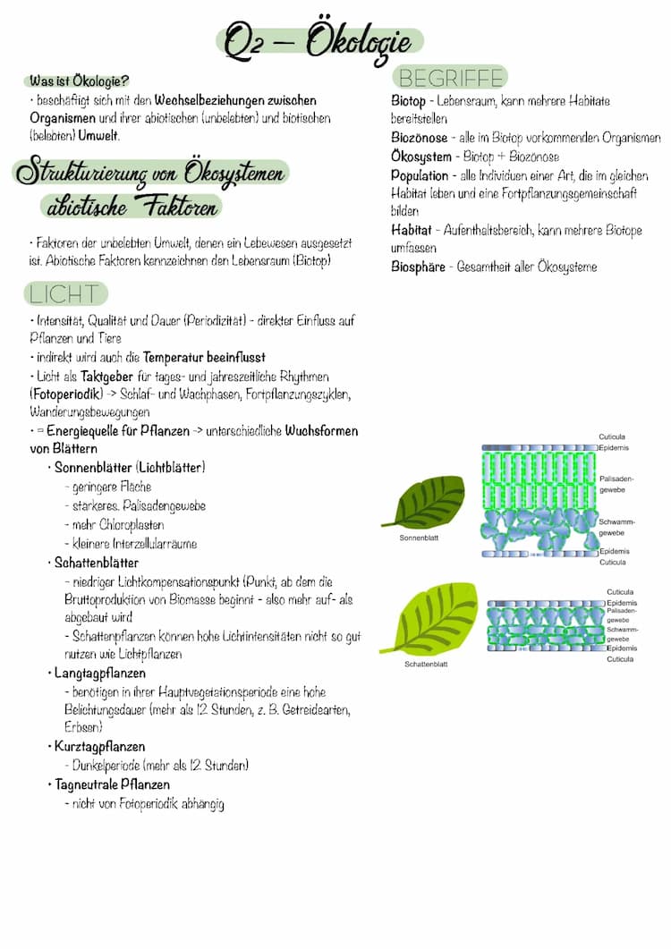 Know Bio LK Abi Ökologie  thumbnail