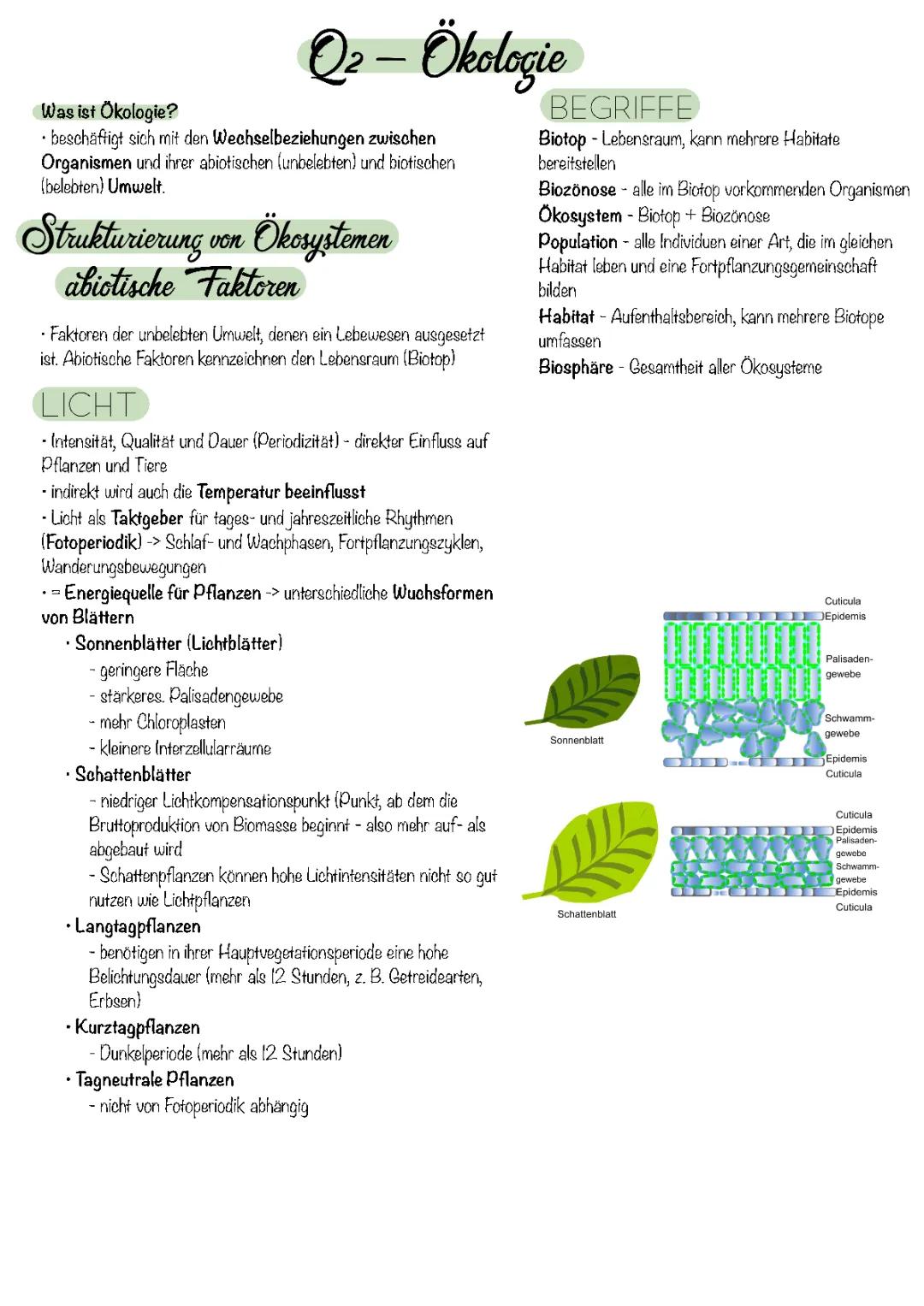 Abiunity Lernzettel: Biologie Zusammenfassung für das Abitur mit Infos zu Umweltfaktoren & Zellbiologie