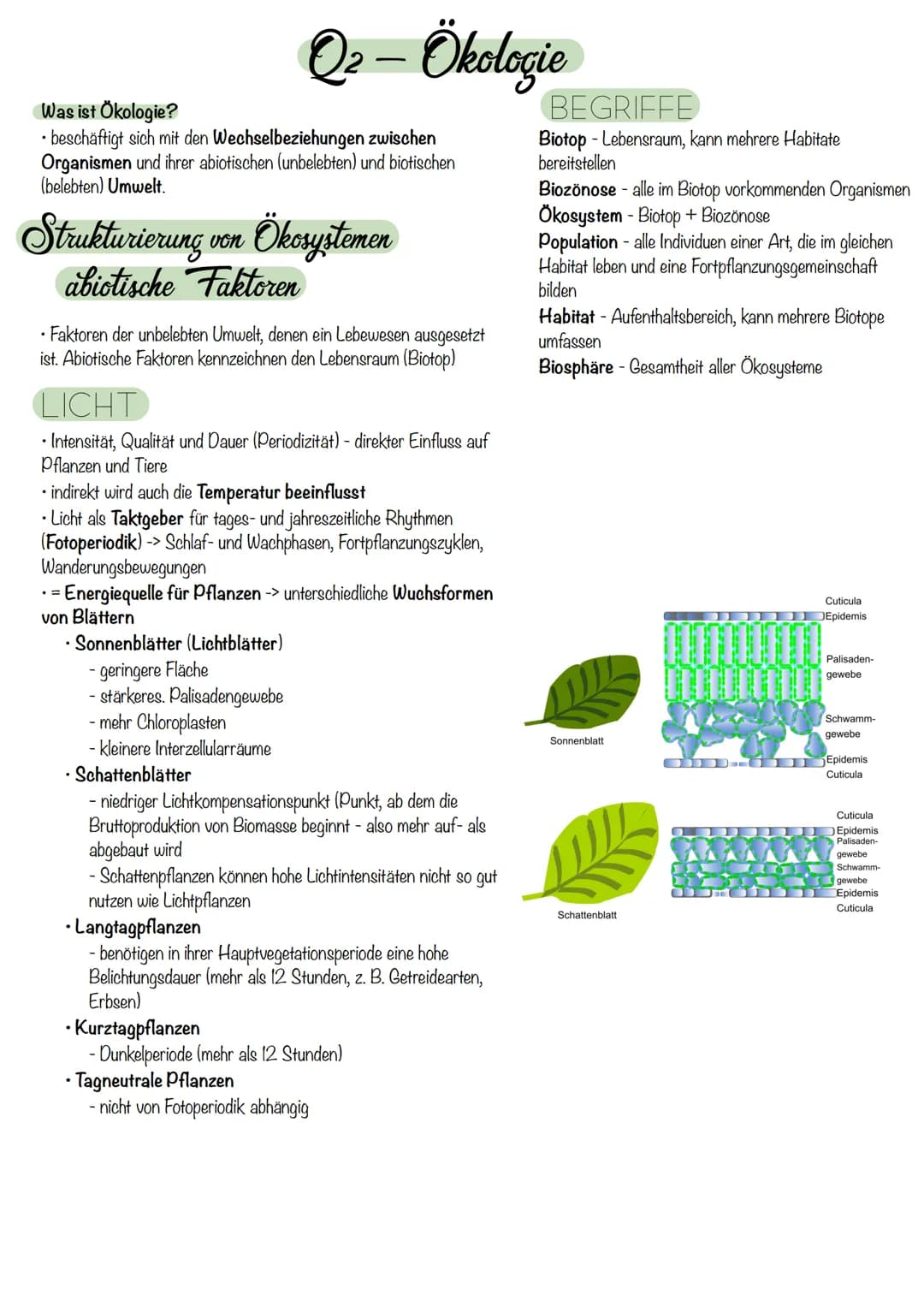 Q₂- Ökologie
Was ist Ökologie?
• beschäftigt sich mit den Wechselbeziehungen zwischen
Organismen und ihrer abiotischen (unbelebten) und biot