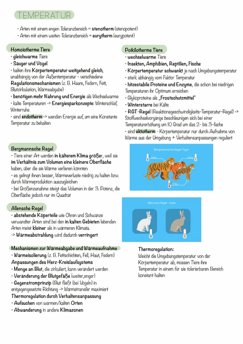 Q₂- Ökologie
Was ist Ökologie?
• beschäftigt sich mit den Wechselbeziehungen zwischen
Organismen und ihrer abiotischen (unbelebten) und biot