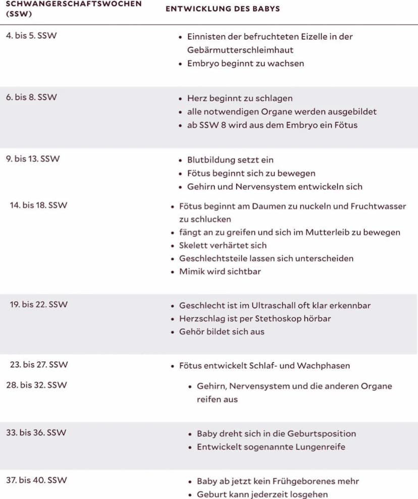 Kant -Menschenbild
Vernunftwelt
- der Mensch kann durch Vernunft unabhānig
von seinen Trieben handeln und ist autonom
- dadurch kann der Men