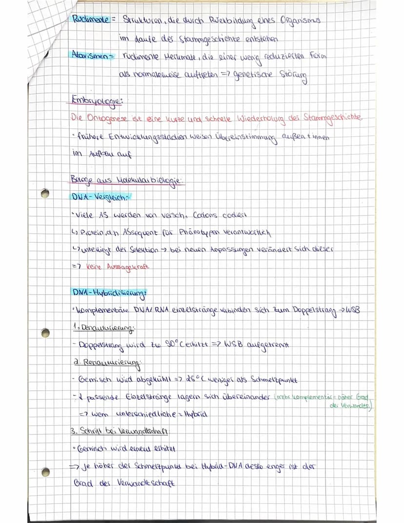 Abitur vorbereitung Biologie LK - Evolution
Grundwissen:
Evolution = Entwicklung und erfolgt durch Veränderung in Gestat
und Verhalten des P