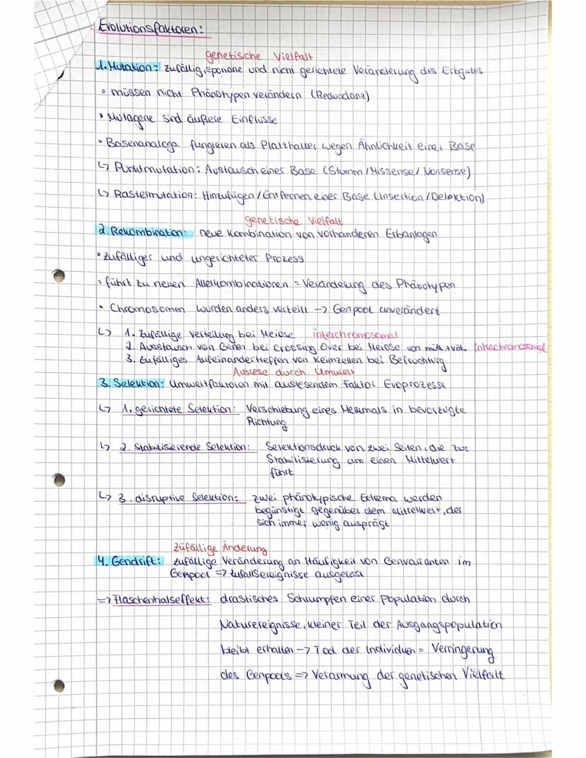Abitur vorbereitung Biologie LK - Evolution
Grundwissen:
Evolution = Entwicklung und erfolgt durch Veränderung in Gestat
und Verhalten des P