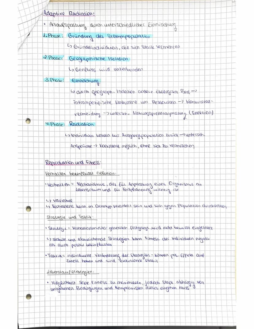 Abitur vorbereitung Biologie LK - Evolution
Grundwissen:
Evolution = Entwicklung und erfolgt durch Veränderung in Gestat
und Verhalten des P