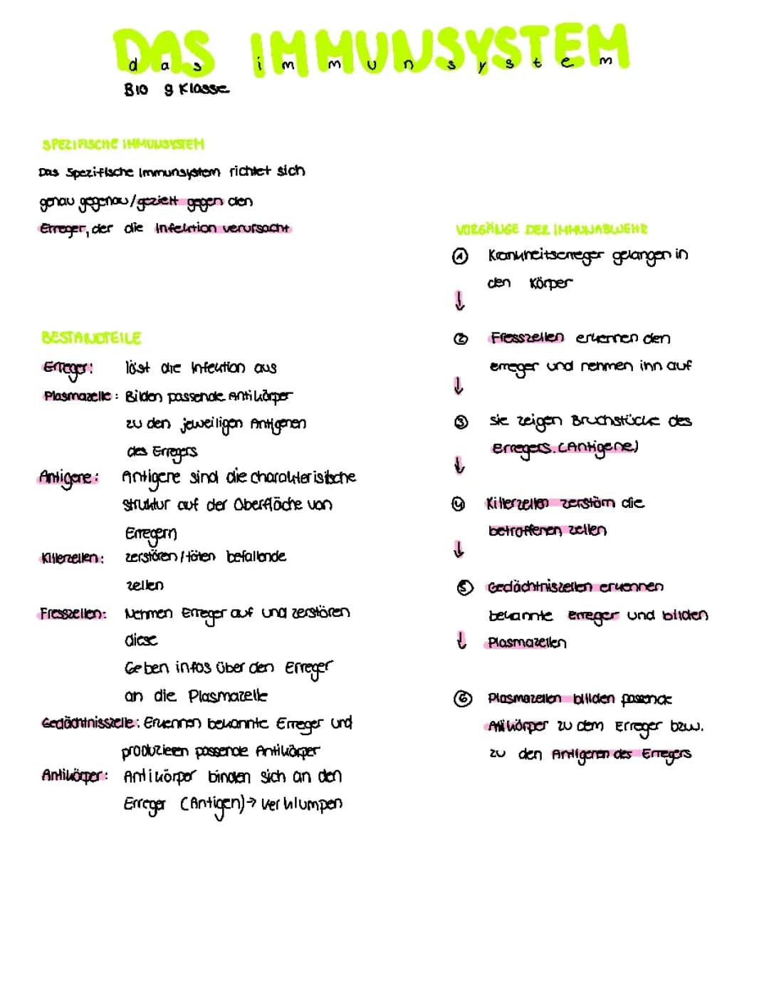 Das Immunsystem