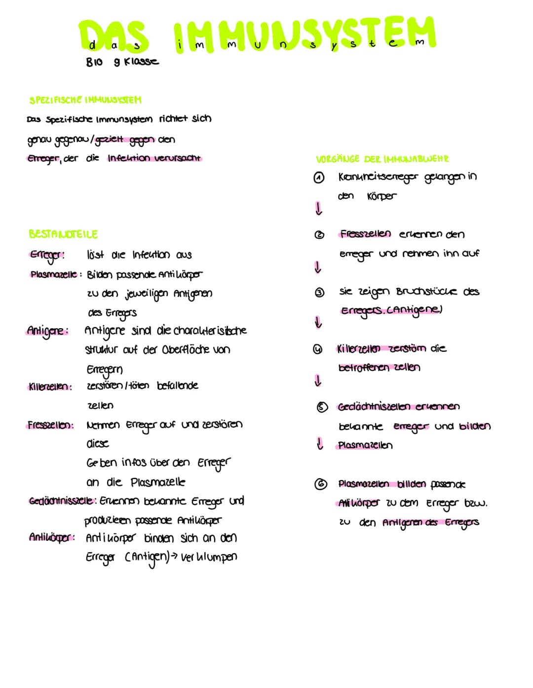 DAS IMMUNSYSTEM
BIO g Klasse
SPEZIFISCHE IMMUUSYSTEM
Das Spezifische Immunsystem richtet sich
genau gegenau/gezielt gegen den
Erreger, der d