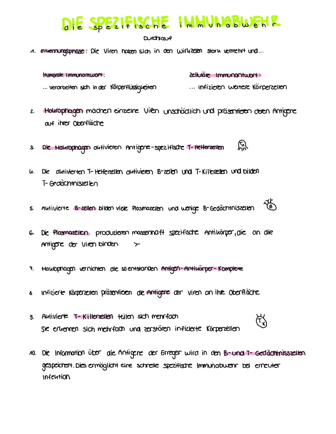 DAS IMMUNSYSTEM
BIO g Klasse
SPEZIFISCHE IMMUUSYSTEM
Das Spezifische Immunsystem richtet sich
genau gegenau/gezielt gegen den
Erreger, der d