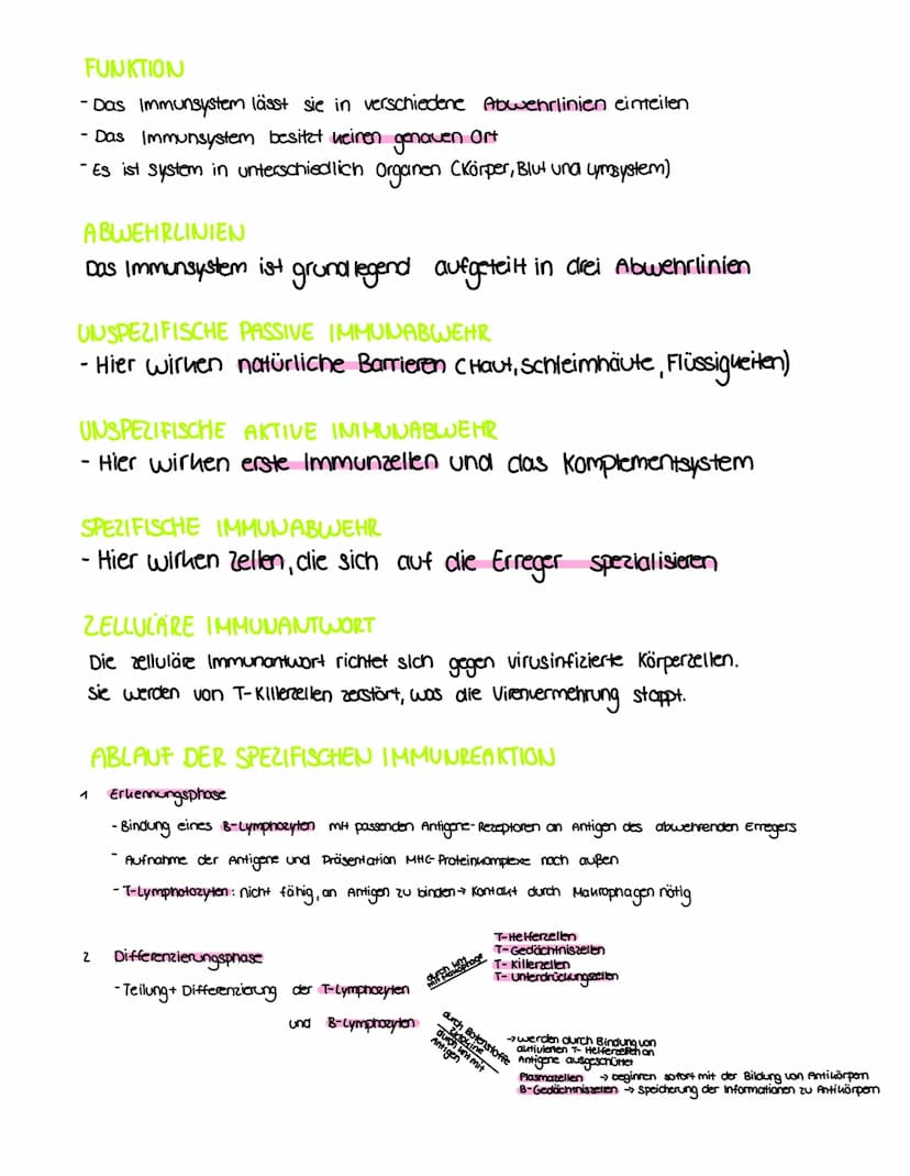 DAS IMMUNSYSTEM
BIO g Klasse
SPEZIFISCHE IMMUUSYSTEM
Das Spezifische Immunsystem richtet sich
genau gegenau/gezielt gegen den
Erreger, der d