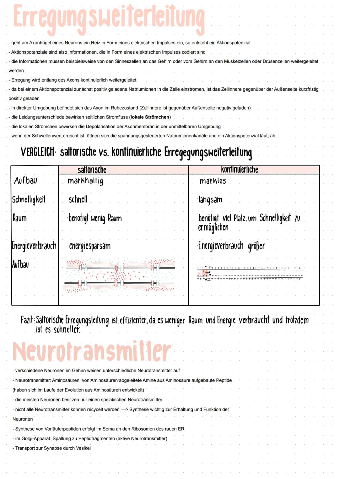 Neuron
GRUNDBAUPLAN DER NEURONEN
- alle Nervenzellen besitzen eine Leistungsstrecke, eine Rezeptorzone und eine Effektorzone
- sie haben ein