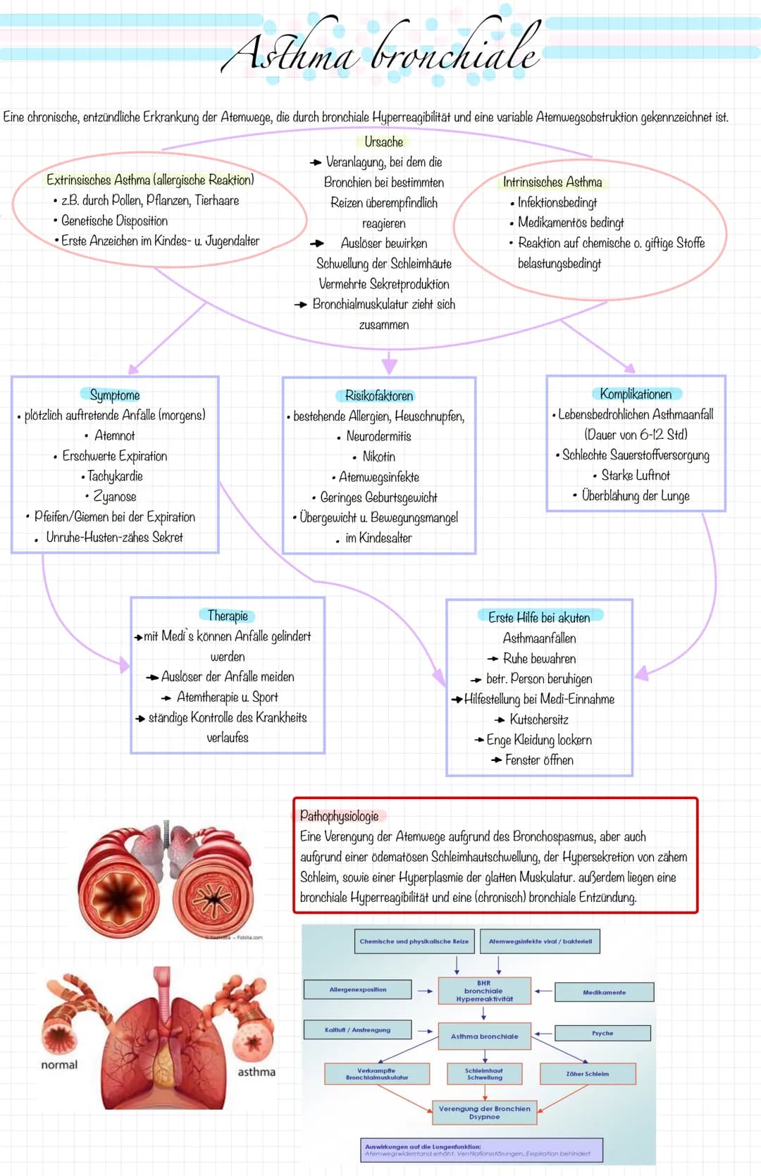 Eine chronische, entzündliche Erkrankung der Atemwege, die durch bronchiale Hyperreagibilität und eine variable Atemwegsobstruktion gekennze