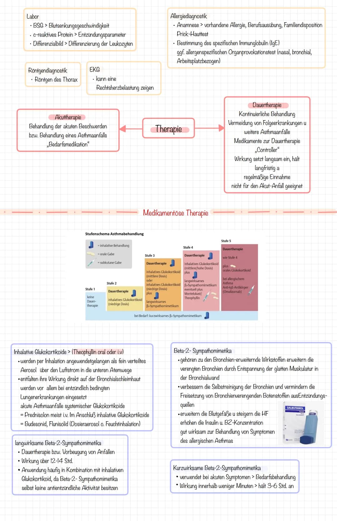 Eine chronische, entzündliche Erkrankung der Atemwege, die durch bronchiale Hyperreagibilität und eine variable Atemwegsobstruktion gekennze
