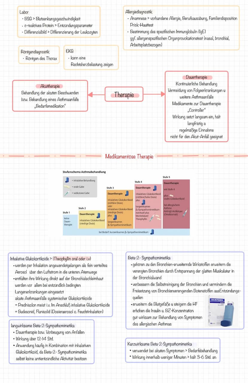 Eine chronische, entzündliche Erkrankung der Atemwege, die durch bronchiale Hyperreagibilität und eine variable Atemwegsobstruktion gekennze