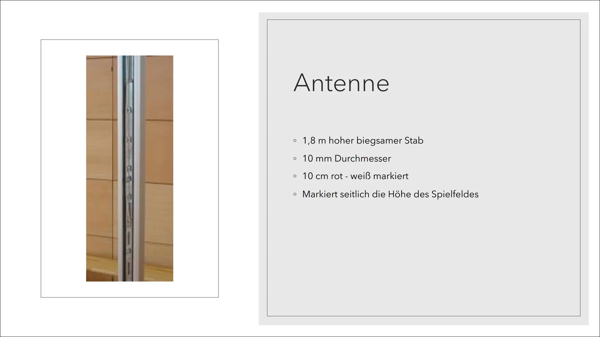 VOLLEYBALL
Magdalena Klobucar, 10a. Allgemeine
Vorstellung der
Sportart Volleyball
Vorstellen der
Techniken und
möglichen Taktiken
Inhaltsve