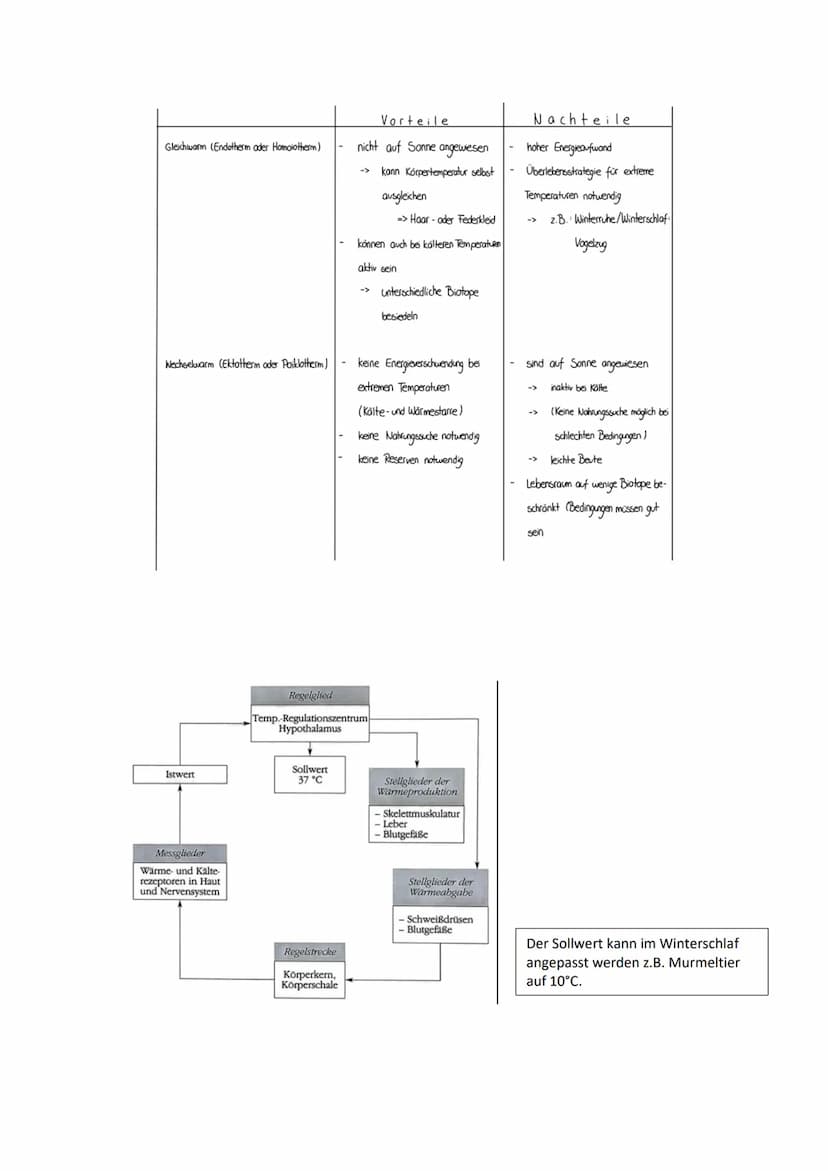Biologie Q2: Ökologie - Abiotische Faktoren
Definition:
Physikalische und chemische Faktoren der unbelebten Umwelt
Bestandteile/Klimafaktore