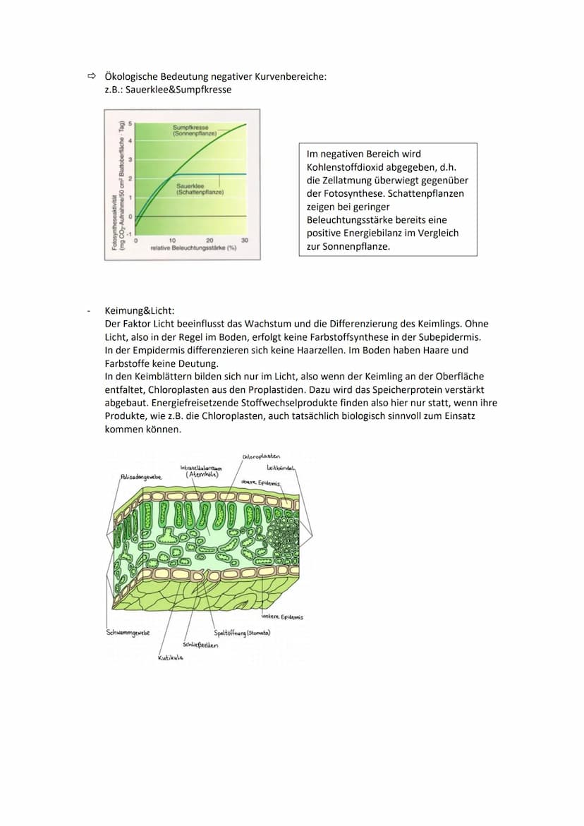 Biologie Q2: Ökologie - Abiotische Faktoren
Definition:
Physikalische und chemische Faktoren der unbelebten Umwelt
Bestandteile/Klimafaktore