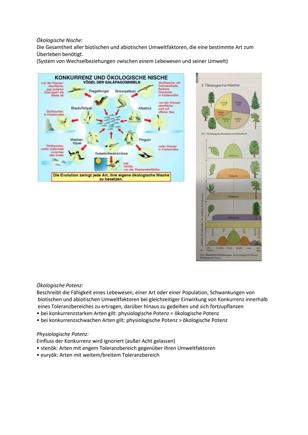 Biologie Q2: Ökologie - Abiotische Faktoren
Definition:
Physikalische und chemische Faktoren der unbelebten Umwelt
Bestandteile/Klimafaktore