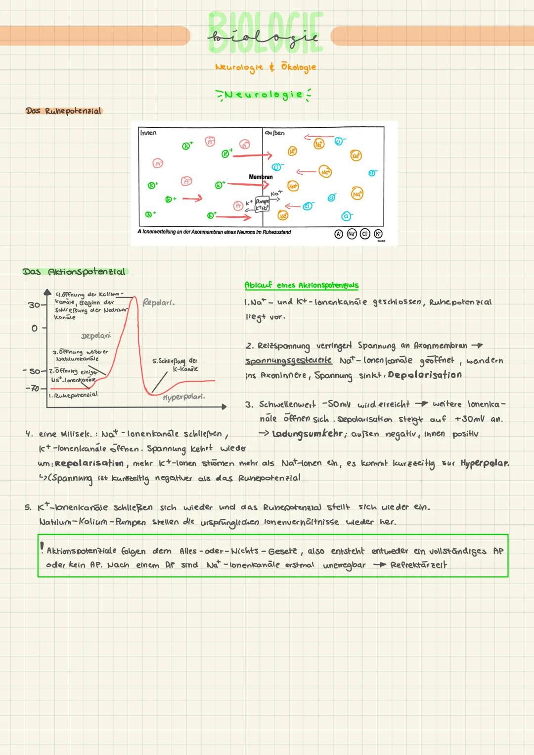 # BIOLOCIC
biologie
Neurologie & Ökologie
Neurologie

Nervenzelle und Nervenzellensysteme

Rezeptoren empfangen außere Signale
sensorisches 
