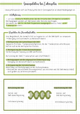Know Genregulation bei Eukaryoten thumbnail