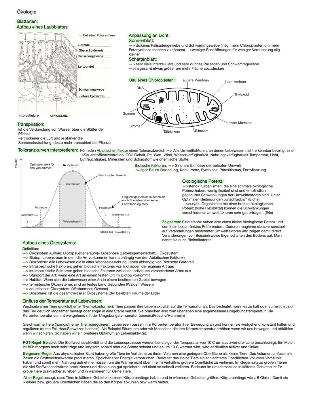 # Ökologie

Blattarten:
Aufbau eines Laubblattes:

Betreiben Fotosynthese

Cuticula
Obere Epidermis
Palisadengewebe

Leitbündel

Interzellul