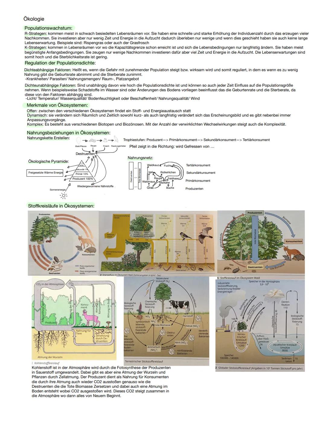 # Ökologie

Blattarten:
Aufbau eines Laubblattes:

Betreiben Fotosynthese

Cuticula
Obere Epidermis
Palisadengewebe

Leitbündel

Interzellul