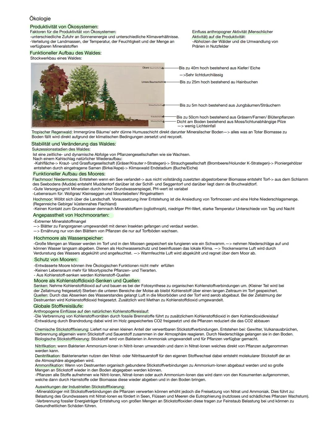 # Ökologie

Blattarten:
Aufbau eines Laubblattes:

Betreiben Fotosynthese

Cuticula
Obere Epidermis
Palisadengewebe

Leitbündel

Interzellul