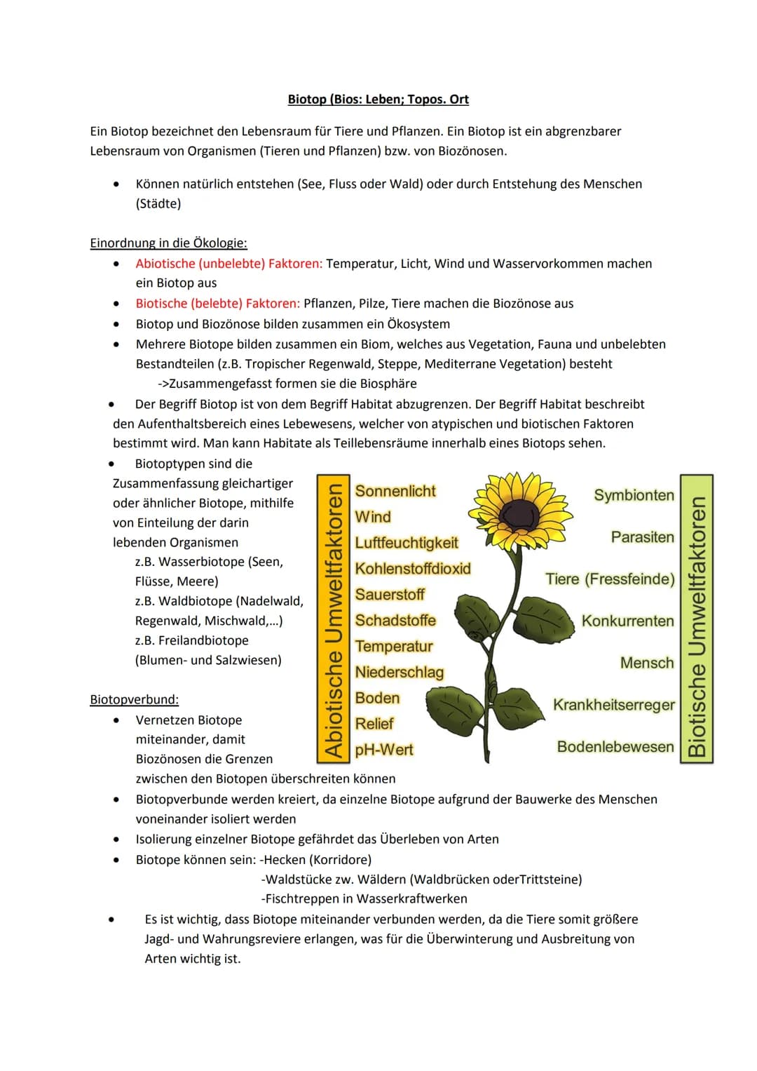 Biotop (Bios: Leben; Topos. Ort
Ein Biotop bezeichnet den Lebensraum für Tiere und Pflanzen. Ein Biotop ist ein abgrenzbarer
Lebensraum von 