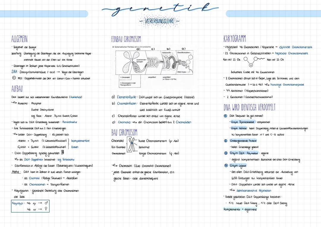 Genetik 