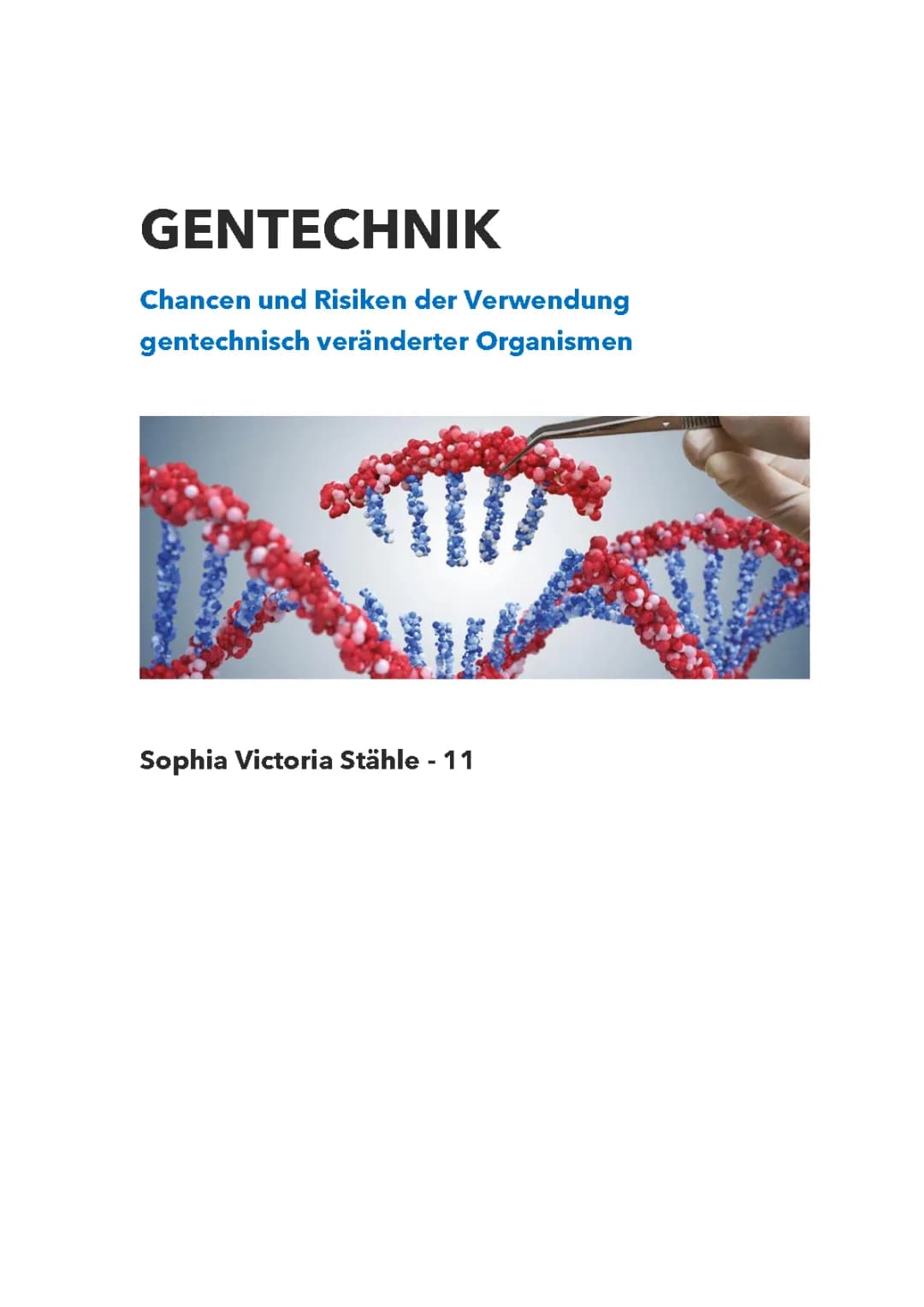 Gentechnik: Chancen, Risiken und Beispiele - Gentechnisch veränderte Lebensmittel und Medikamente