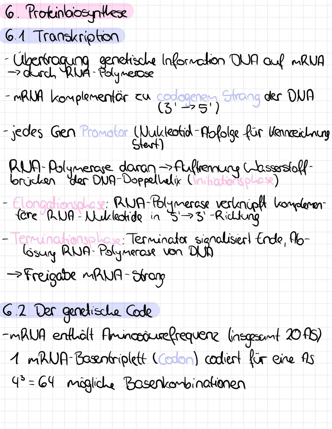 Klausur: Grundlagen der Molekular-) Genetik
1. Bedeutung des Zelllerns
-Träger der Erbinformation für Bauplan Zelle
-Regulation sämtlicher S