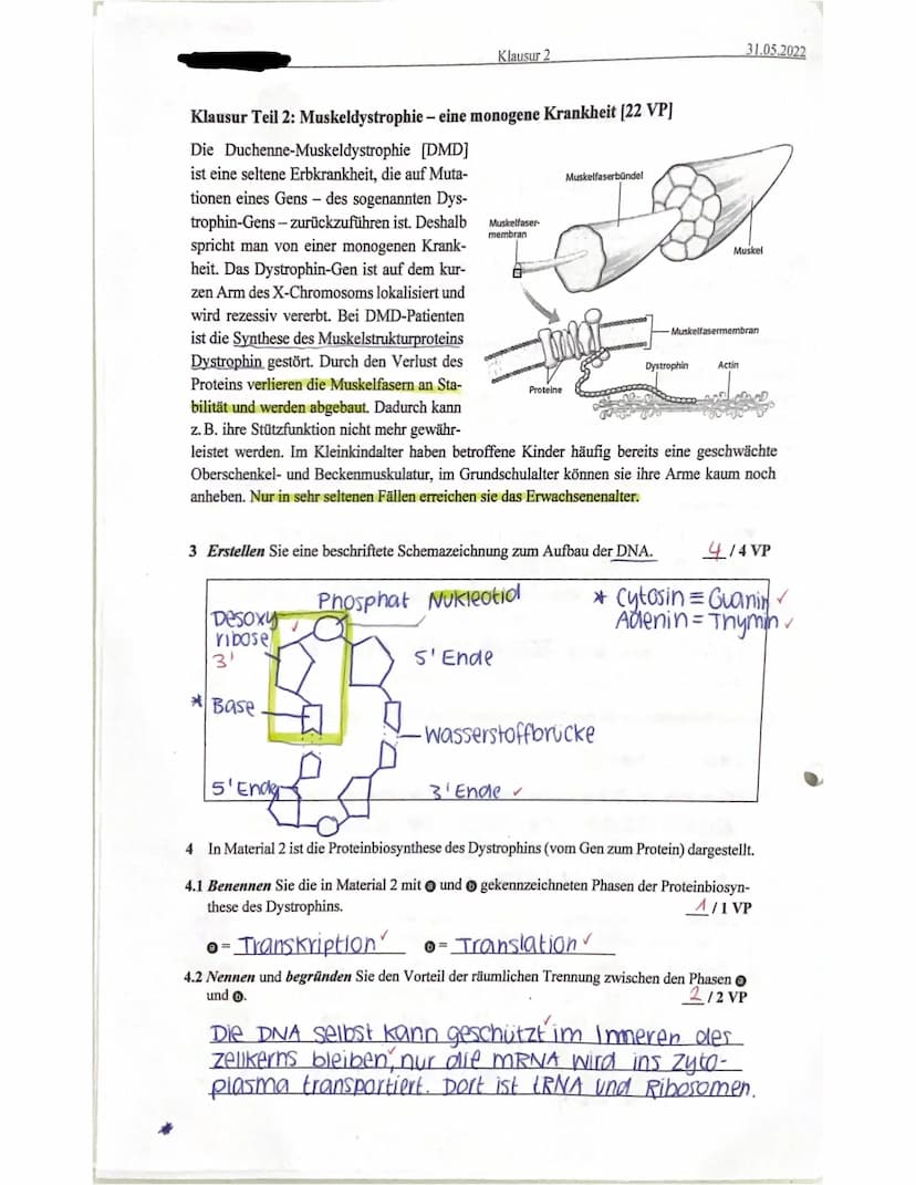 Name
Klausur 2
J1 Klausur 2: Enzymatik & Genetik
Punkte
36,5140
Notenpunkte
14
2. Abgabe: 10:34 Uhr
31.05.2022
2
Viel
Erfolg!
Mündliche Leis