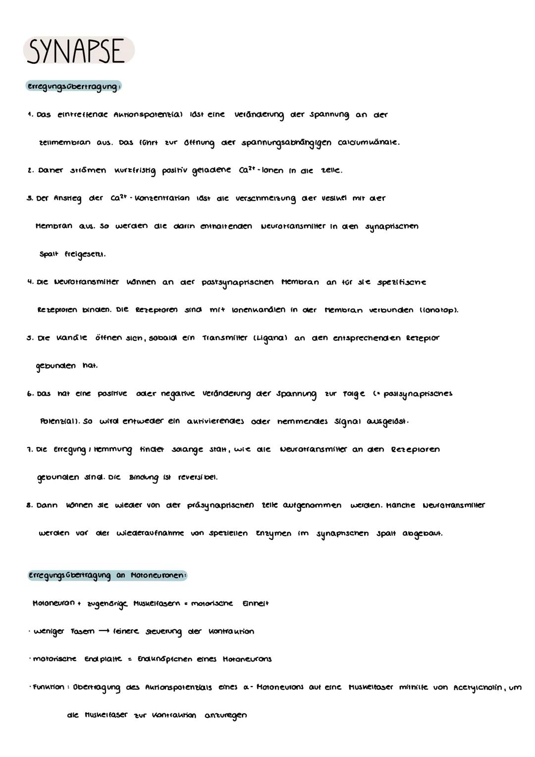 # SYNAPSE

Synapse verbindungsstelle zwischen zwei Nervenzellen, Nerven zelte
und Drüsenzelle oder Nervenzelle und Muskeltaser (motorisene E