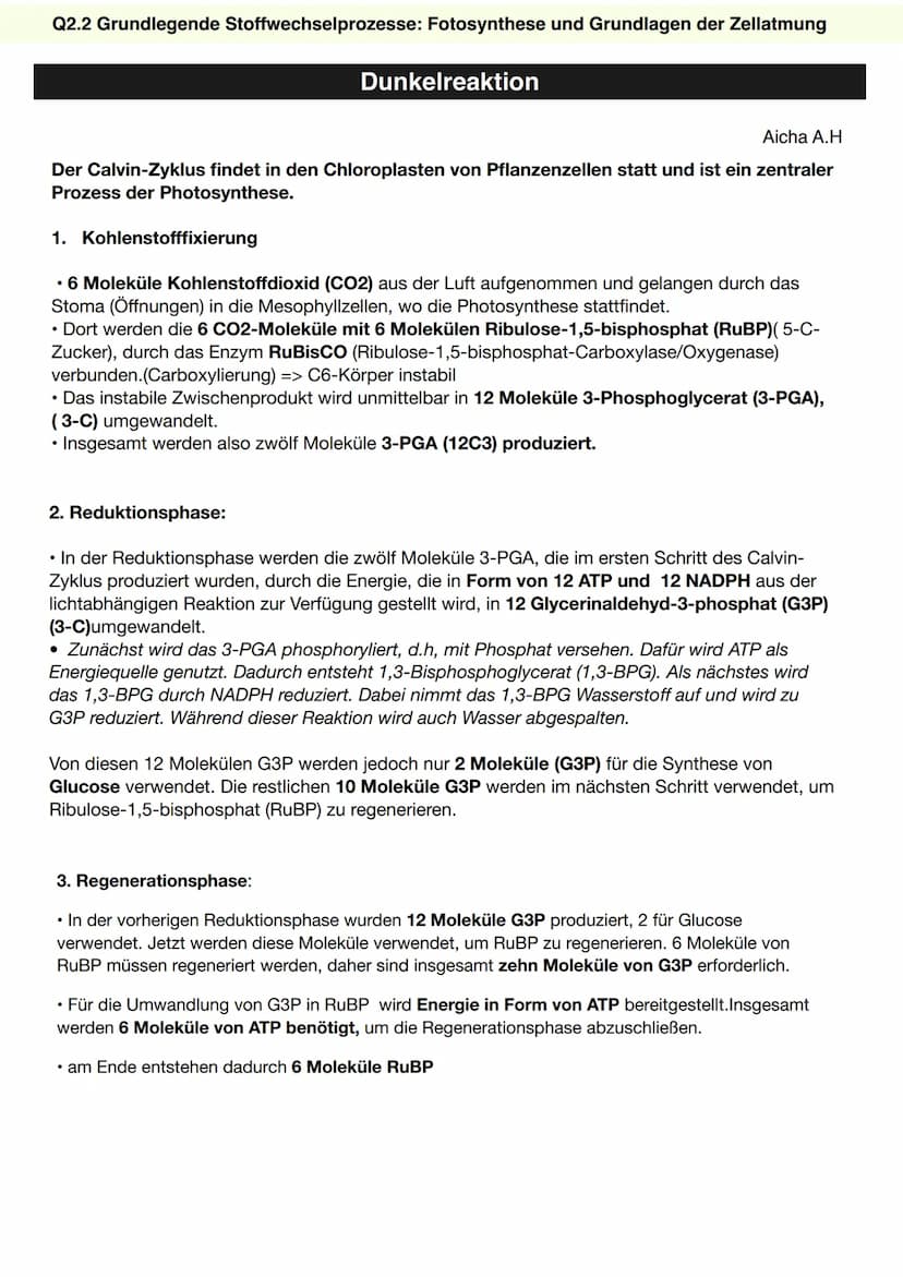 Q2.2 Grundlegende Stoffwechselprozesse: Fotosynthese und Grundlagen der Zellatmung
Dunkelreaktion
CALVIN-Zyklus [Dunkelreaktion/lichtunabhän