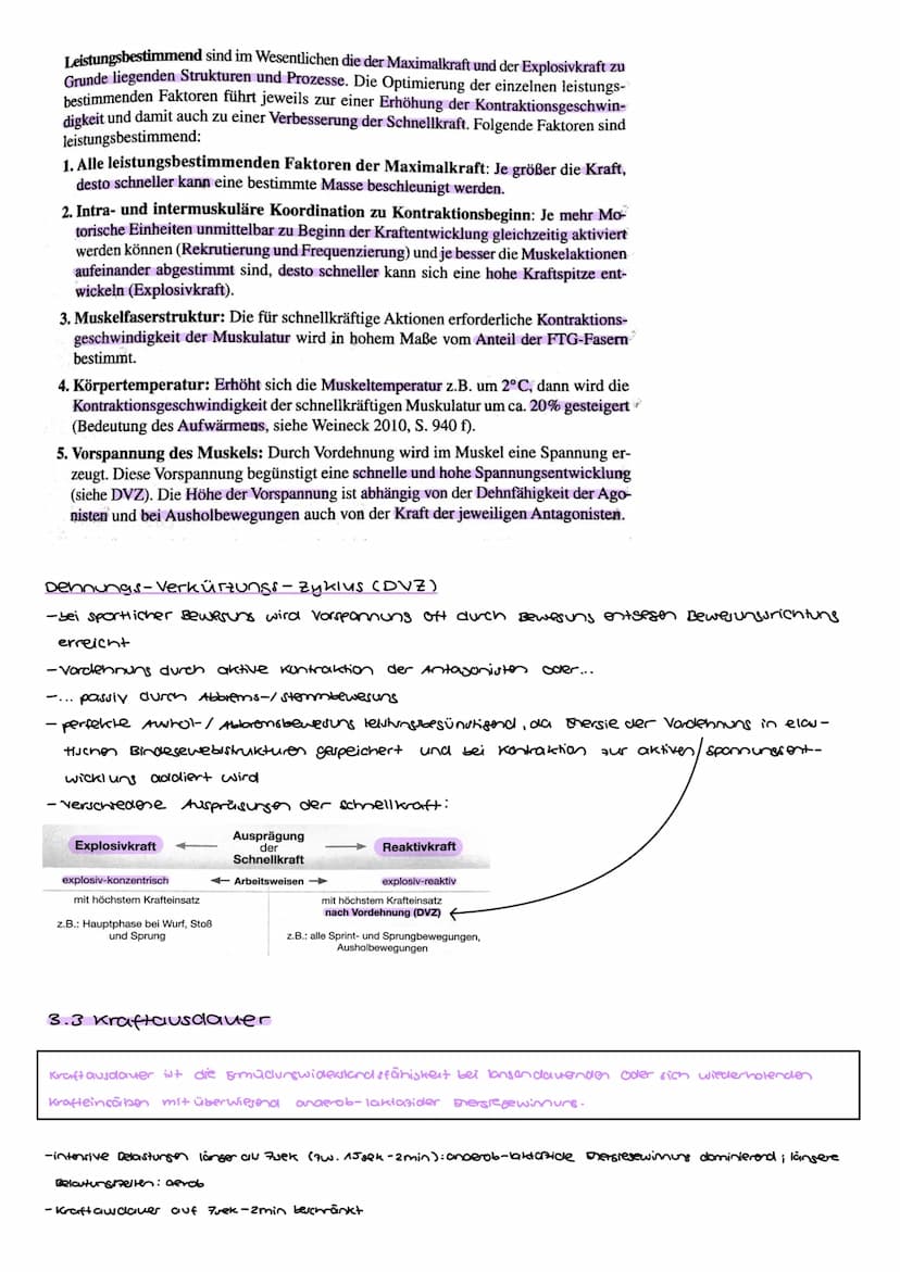 3.Kraftfähigkeiten und leistungsbestimmende Faktoren
2X4
Schnellkraft
Maximalkraft
Abb. 43: Kraftfähigkeiten.
Kraftausdauer
- Kraft tritt in