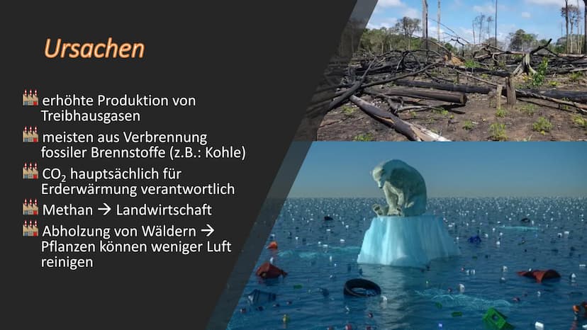 Klimawandel
Komplexe Leistung im Fach Geographie ,,Erst wenn der letzte Baum gerodet,
der letzte Fluss vergiftet,
der letzte Fisch gefangen 