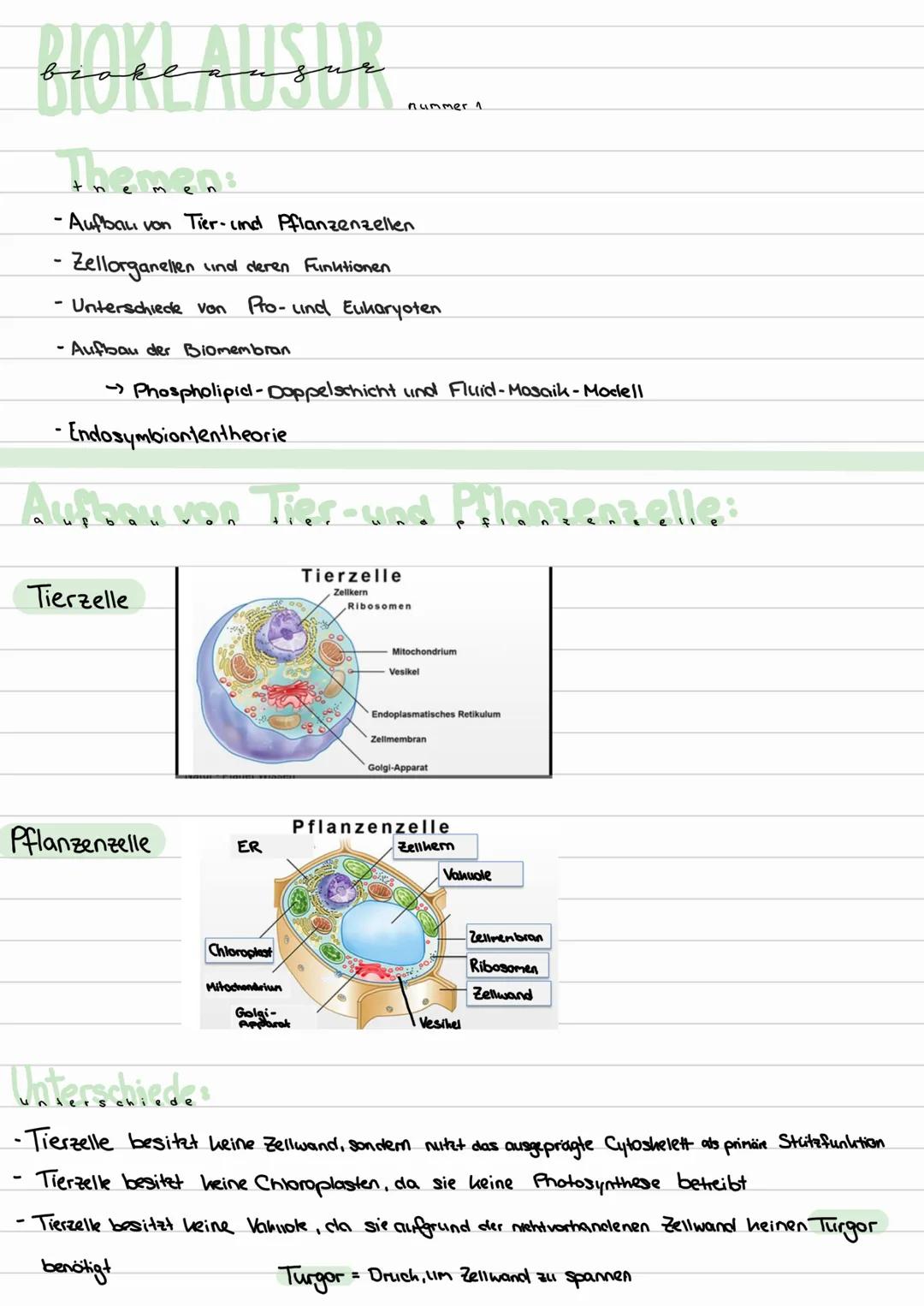 orneean sur
Themen:
-Aufbau von Tier- und Pflanzenzellen
- Zellorganellen und deren Funktionen
- Unterschiede von Pro- und Eukaryoten
- Aufb