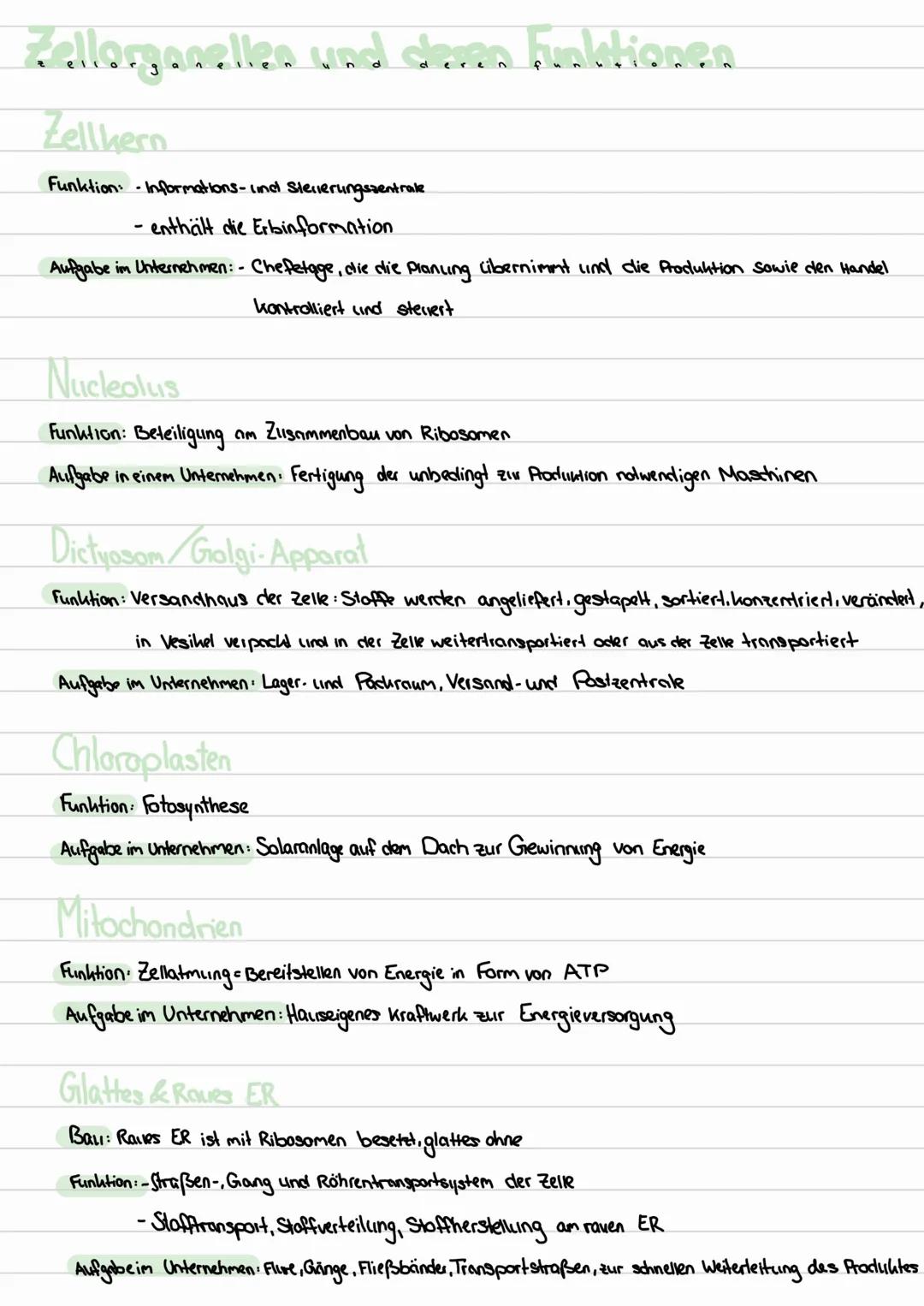 orneean sur
Themen:
-Aufbau von Tier- und Pflanzenzellen
- Zellorganellen und deren Funktionen
- Unterschiede von Pro- und Eukaryoten
- Aufb