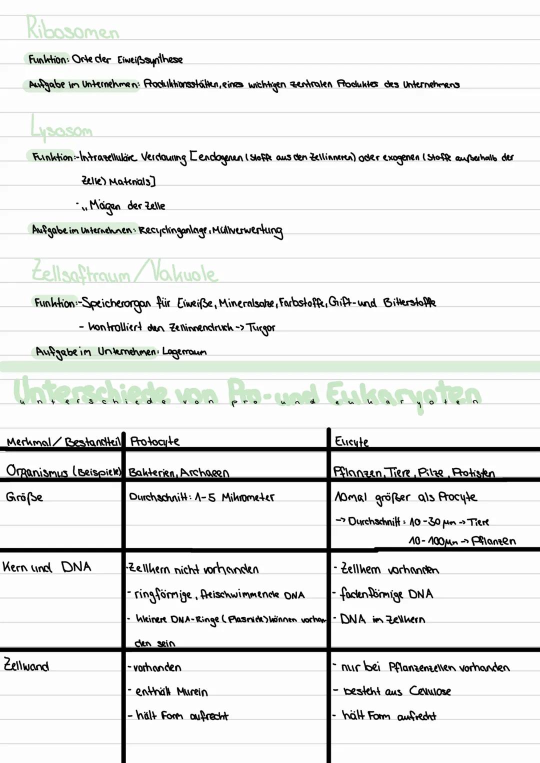 orneean sur
Themen:
-Aufbau von Tier- und Pflanzenzellen
- Zellorganellen und deren Funktionen
- Unterschiede von Pro- und Eukaryoten
- Aufb