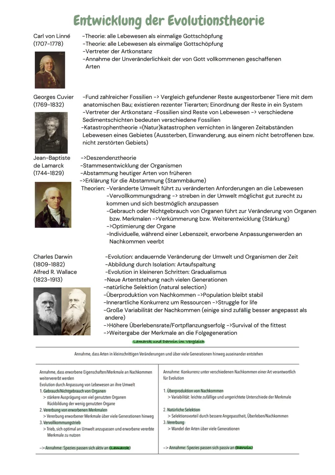 ABITURZUSAMMENFASSUNG
2023
Biologie LK
Evolution SELEKTIONSFORMEN
Stabilisierende Selektion
Besteht ein Prädationsdruck
z.B. auf kleine und 