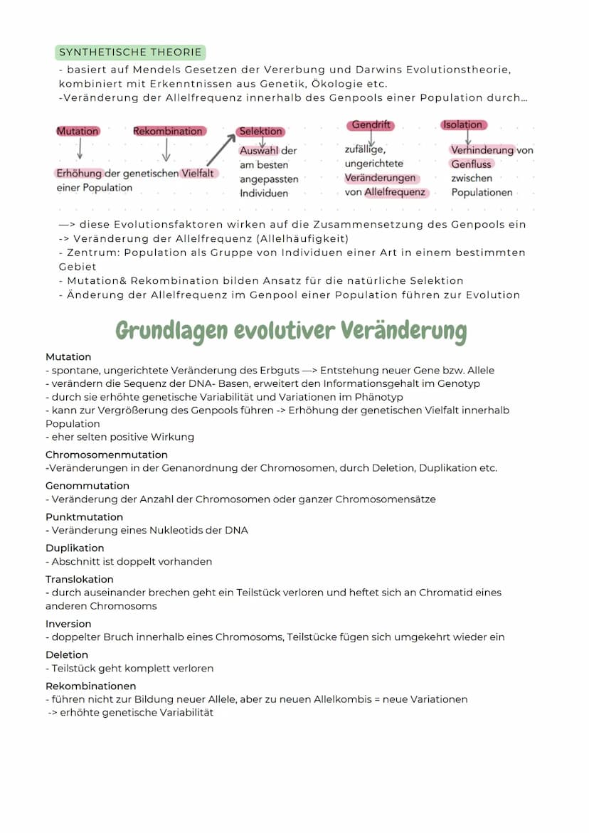 ABITURZUSAMMENFASSUNG
2023
Biologie LK
Evolution SELEKTIONSFORMEN
Stabilisierende Selektion
Besteht ein Prädationsdruck
z.B. auf kleine und 