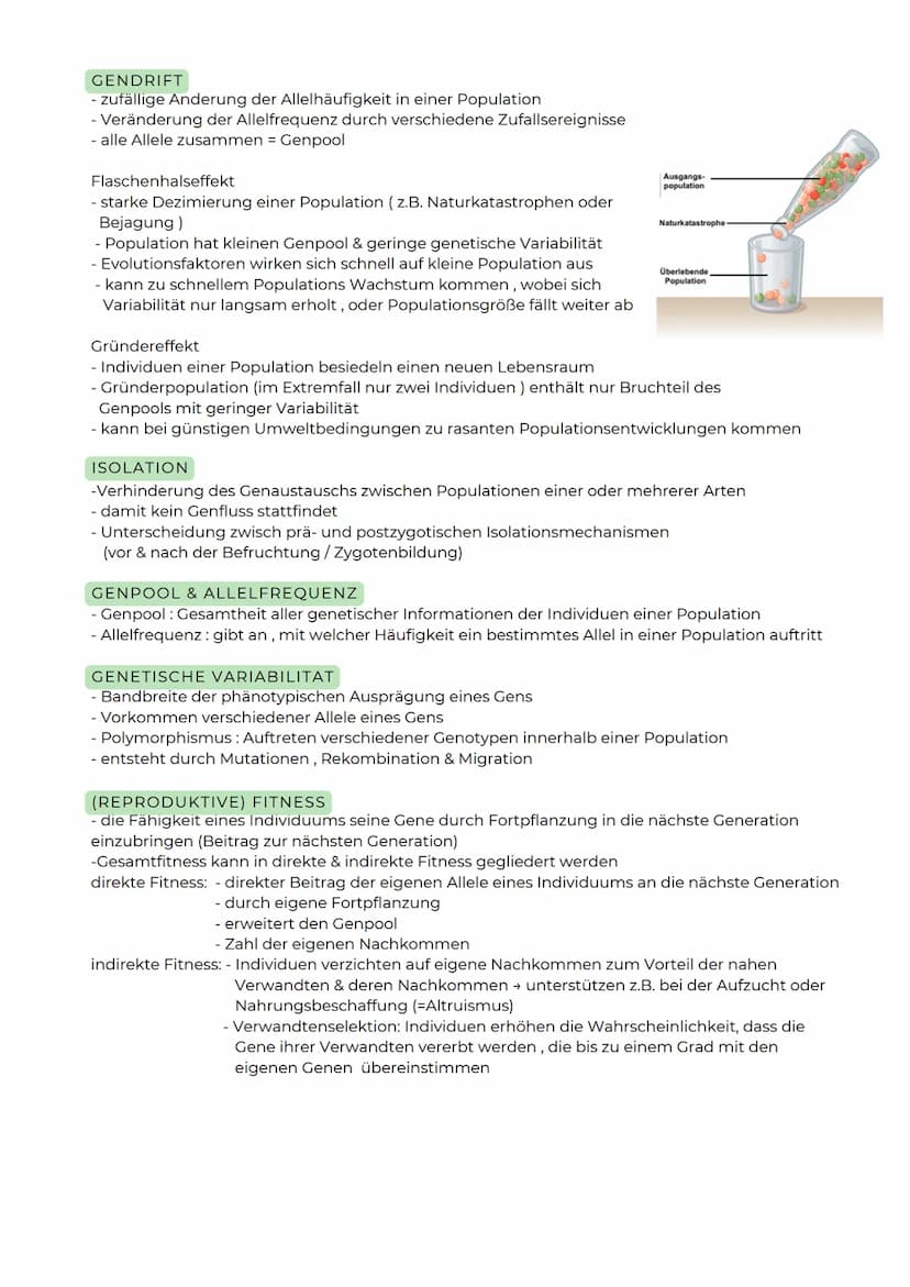 ABITURZUSAMMENFASSUNG
2023
Biologie LK
Evolution SELEKTIONSFORMEN
Stabilisierende Selektion
Besteht ein Prädationsdruck
z.B. auf kleine und 