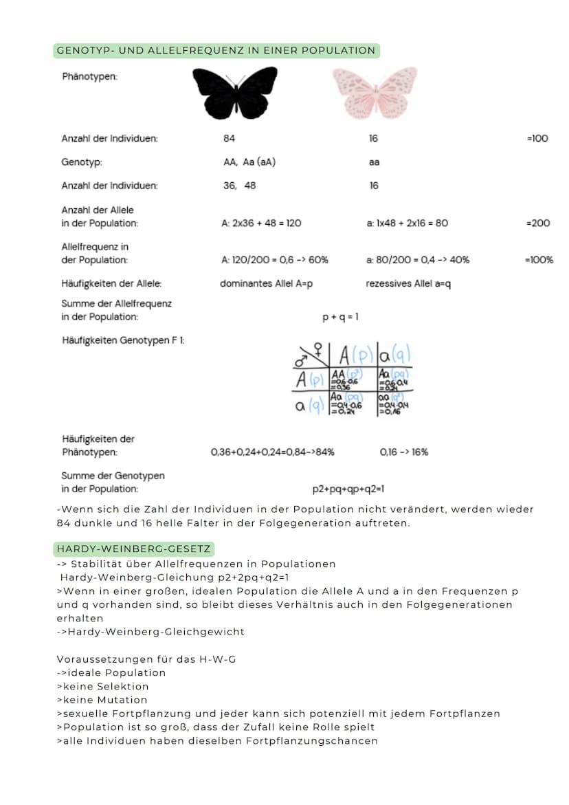 ABITURZUSAMMENFASSUNG
2023
Biologie LK
Evolution SELEKTIONSFORMEN
Stabilisierende Selektion
Besteht ein Prädationsdruck
z.B. auf kleine und 