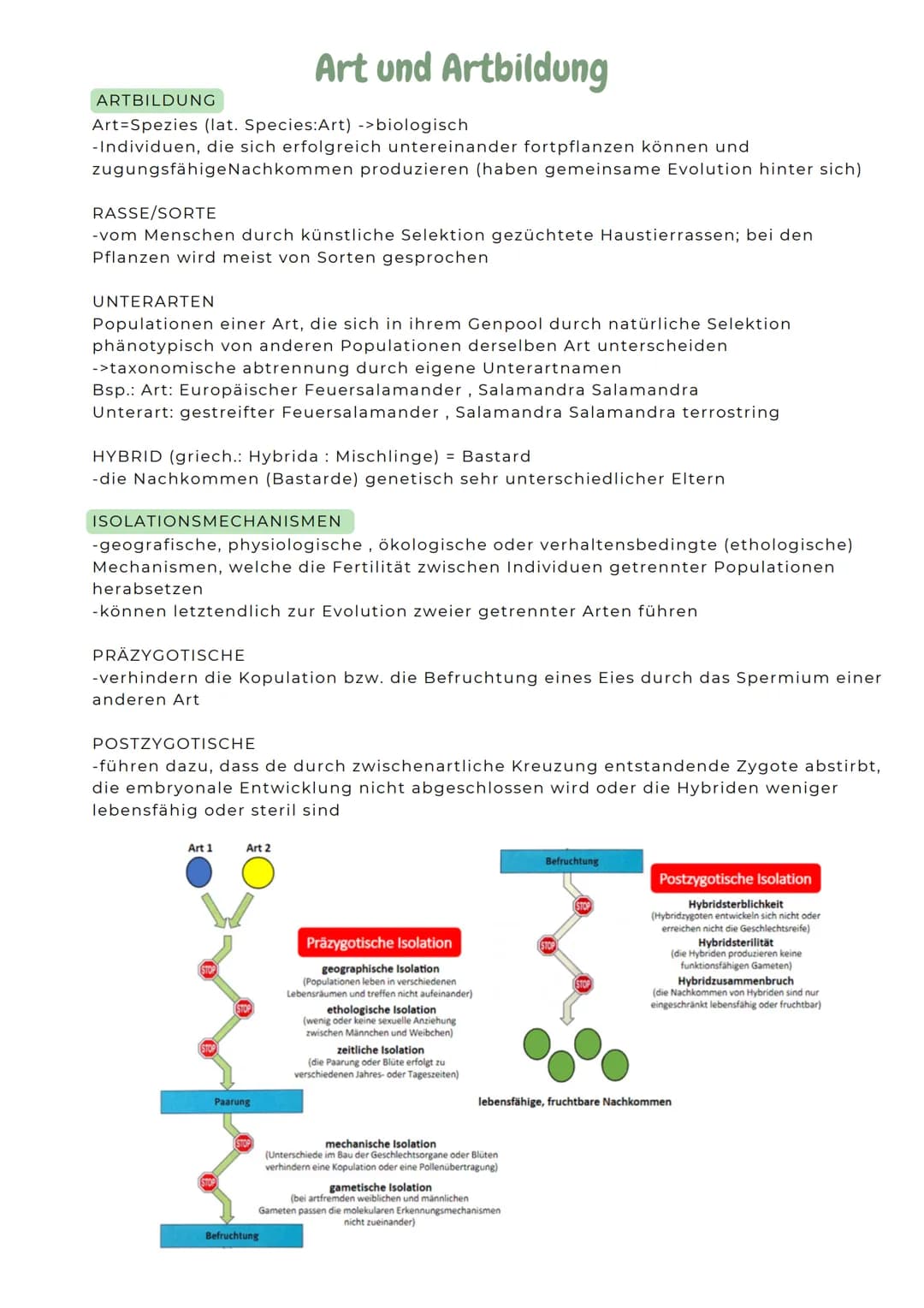 ABITURZUSAMMENFASSUNG
2023
Biologie LK
Evolution SELEKTIONSFORMEN
Stabilisierende Selektion
Besteht ein Prädationsdruck
z.B. auf kleine und 
