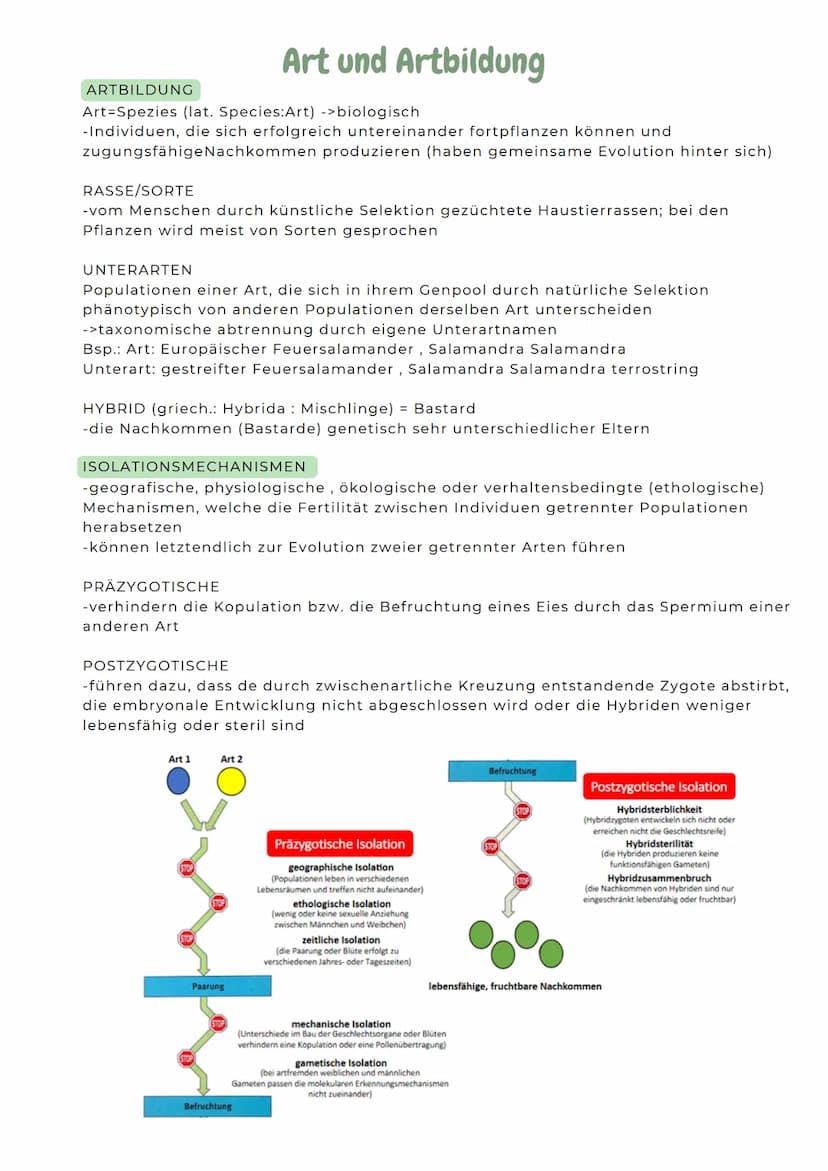 ABITURZUSAMMENFASSUNG
2023
Biologie LK
Evolution SELEKTIONSFORMEN
Stabilisierende Selektion
Besteht ein Prädationsdruck
z.B. auf kleine und 