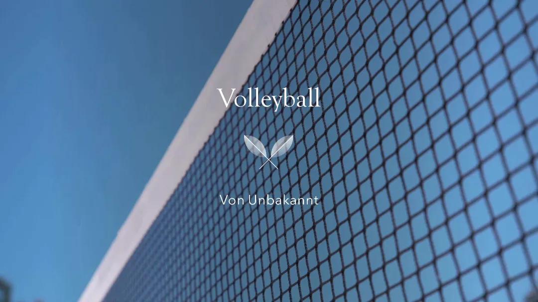 Volleyball Techniken und Übungen