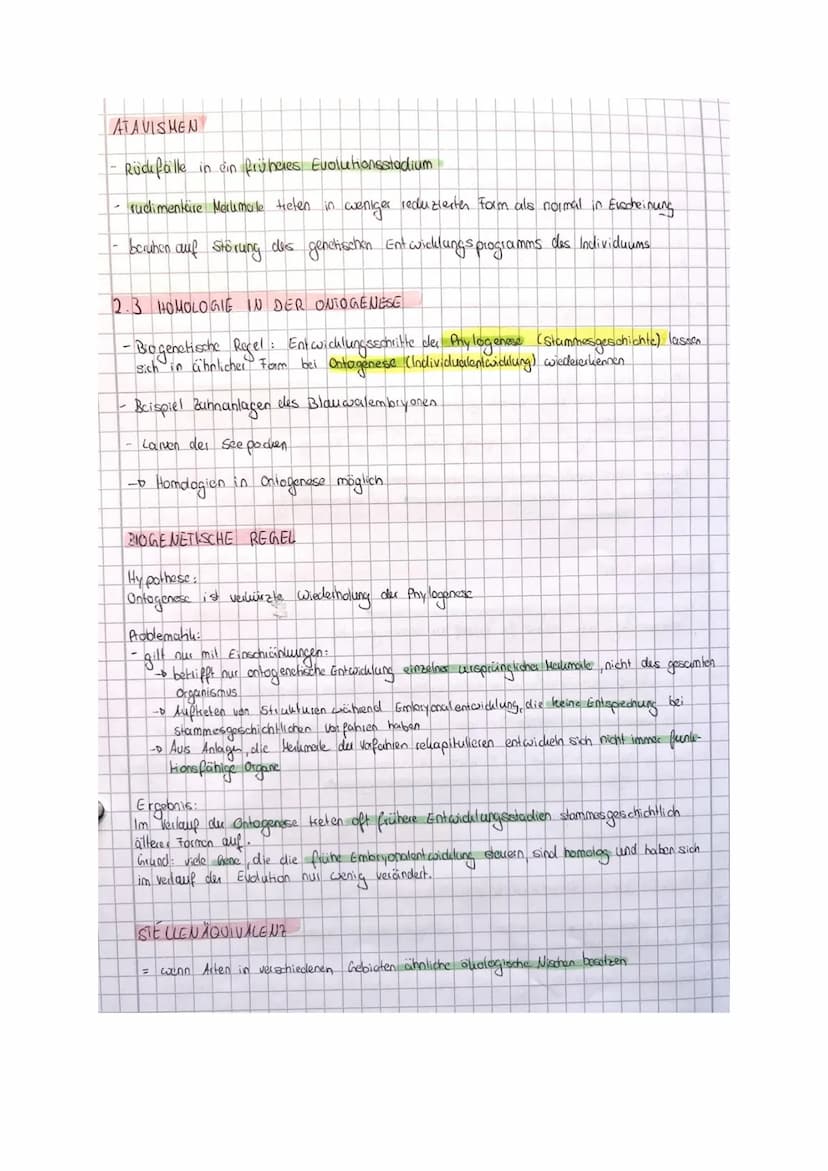 BIO LK EVOLUTION
Zusammenfassung
@karolinamechab & O
Willkommen zu meiner Bio Evolution Zusammenfassung!!
Bevor du sie dir durchliest möchte