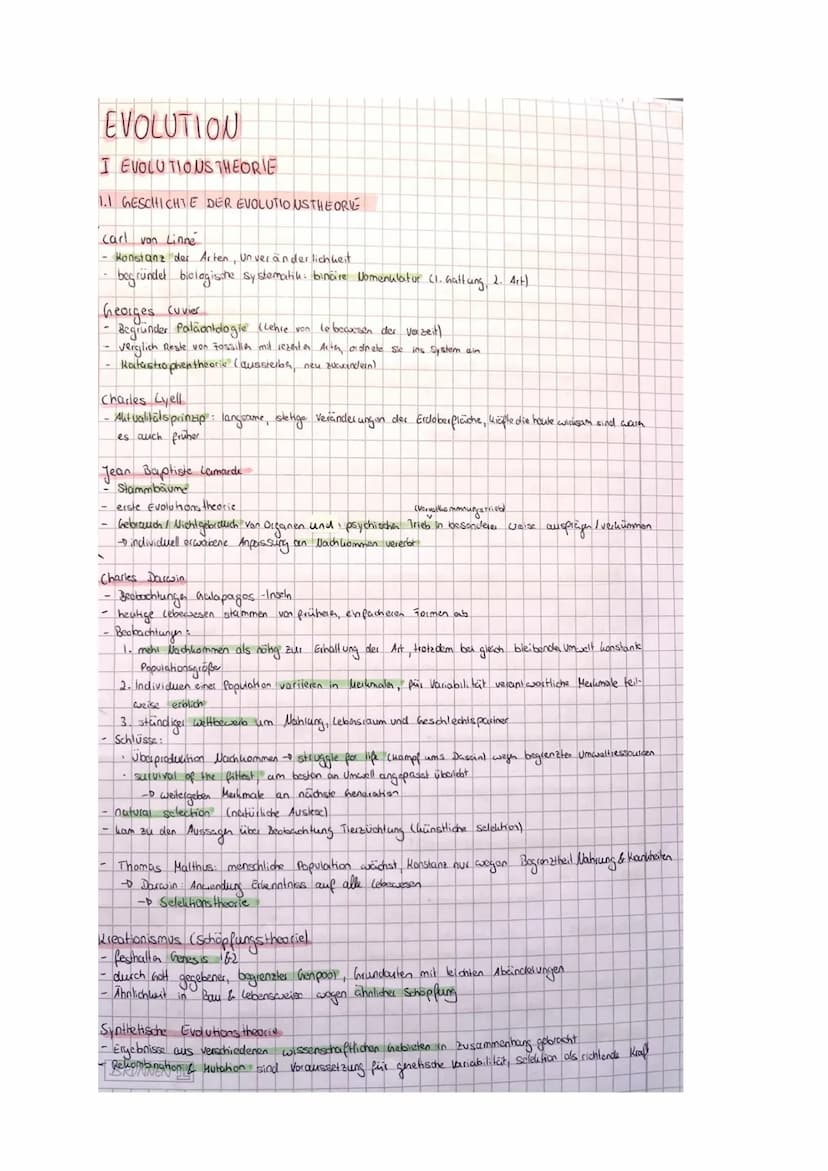 BIO LK EVOLUTION
Zusammenfassung
@karolinamechab & O
Willkommen zu meiner Bio Evolution Zusammenfassung!!
Bevor du sie dir durchliest möchte