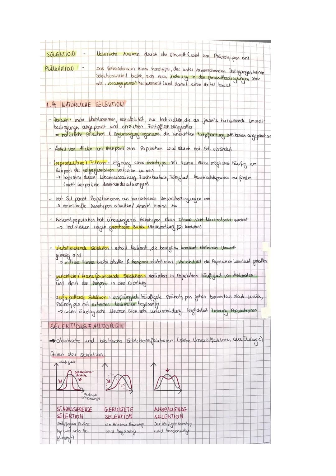 BIO LK EVOLUTION
Zusammenfassung
@karolinamechab & O
Willkommen zu meiner Bio Evolution Zusammenfassung!!
Bevor du sie dir durchliest möchte