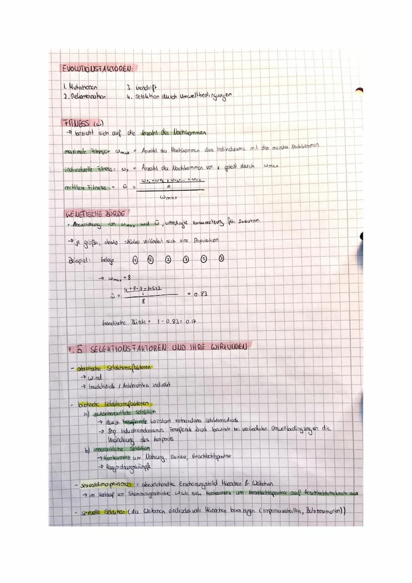 BIO LK EVOLUTION
Zusammenfassung
@karolinamechab & O
Willkommen zu meiner Bio Evolution Zusammenfassung!!
Bevor du sie dir durchliest möchte