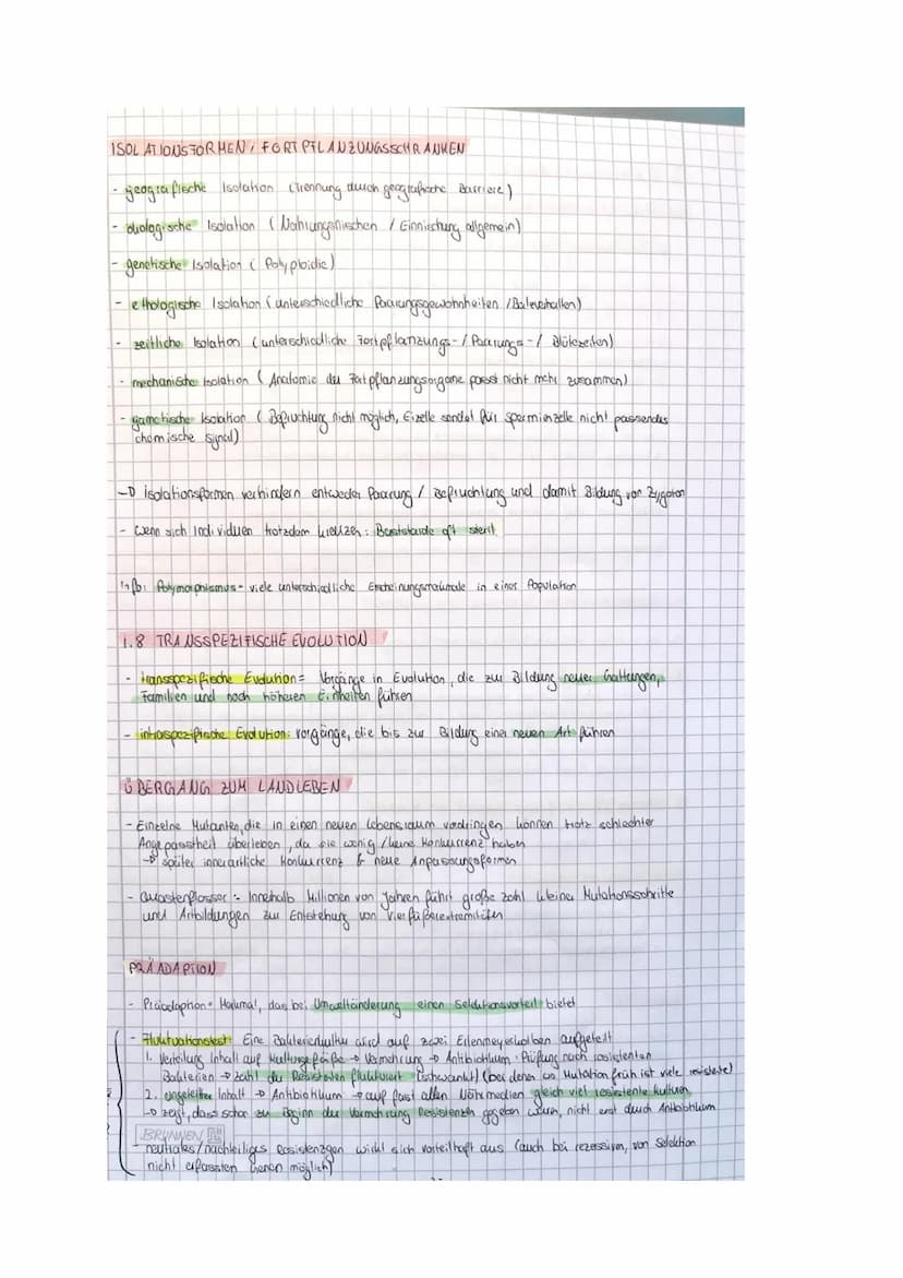 BIO LK EVOLUTION
Zusammenfassung
@karolinamechab & O
Willkommen zu meiner Bio Evolution Zusammenfassung!!
Bevor du sie dir durchliest möchte