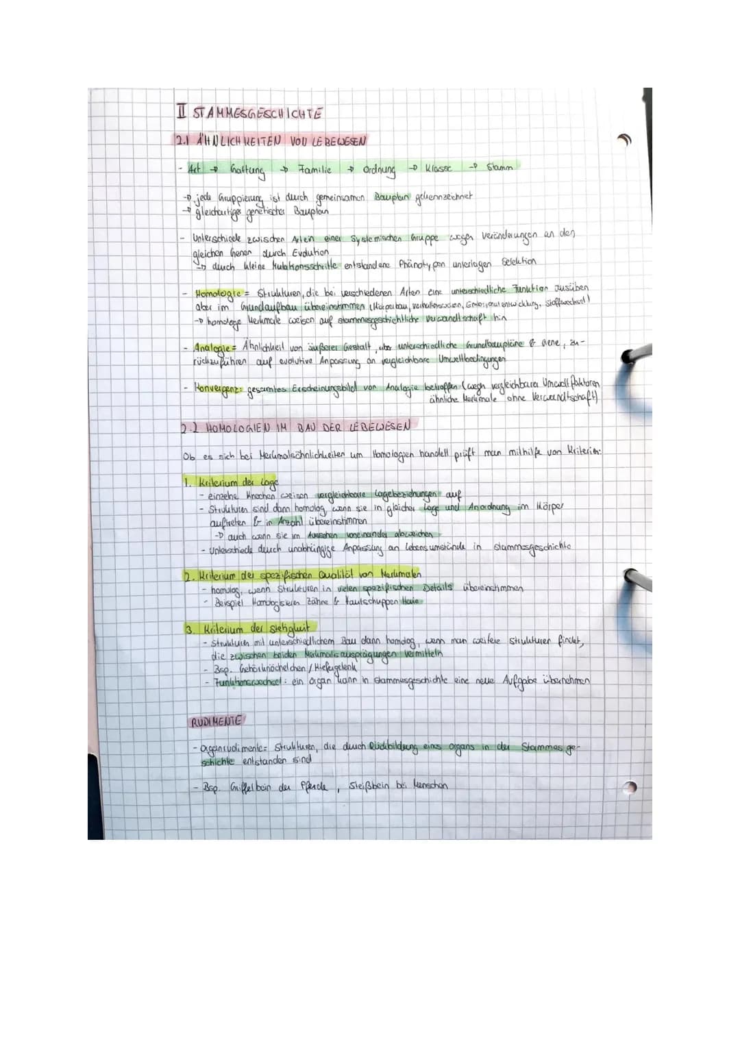 BIO LK EVOLUTION
Zusammenfassung
@karolinamechab & O
Willkommen zu meiner Bio Evolution Zusammenfassung!!
Bevor du sie dir durchliest möchte